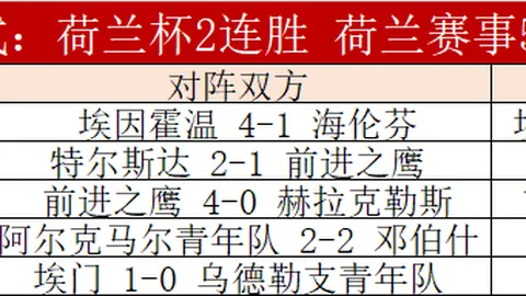 热刺力克伯恩利，贝尔梅英勇表现再掀胜利高潮