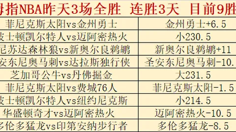 湖人交易东契奇时机未到，独行侠押宝未来